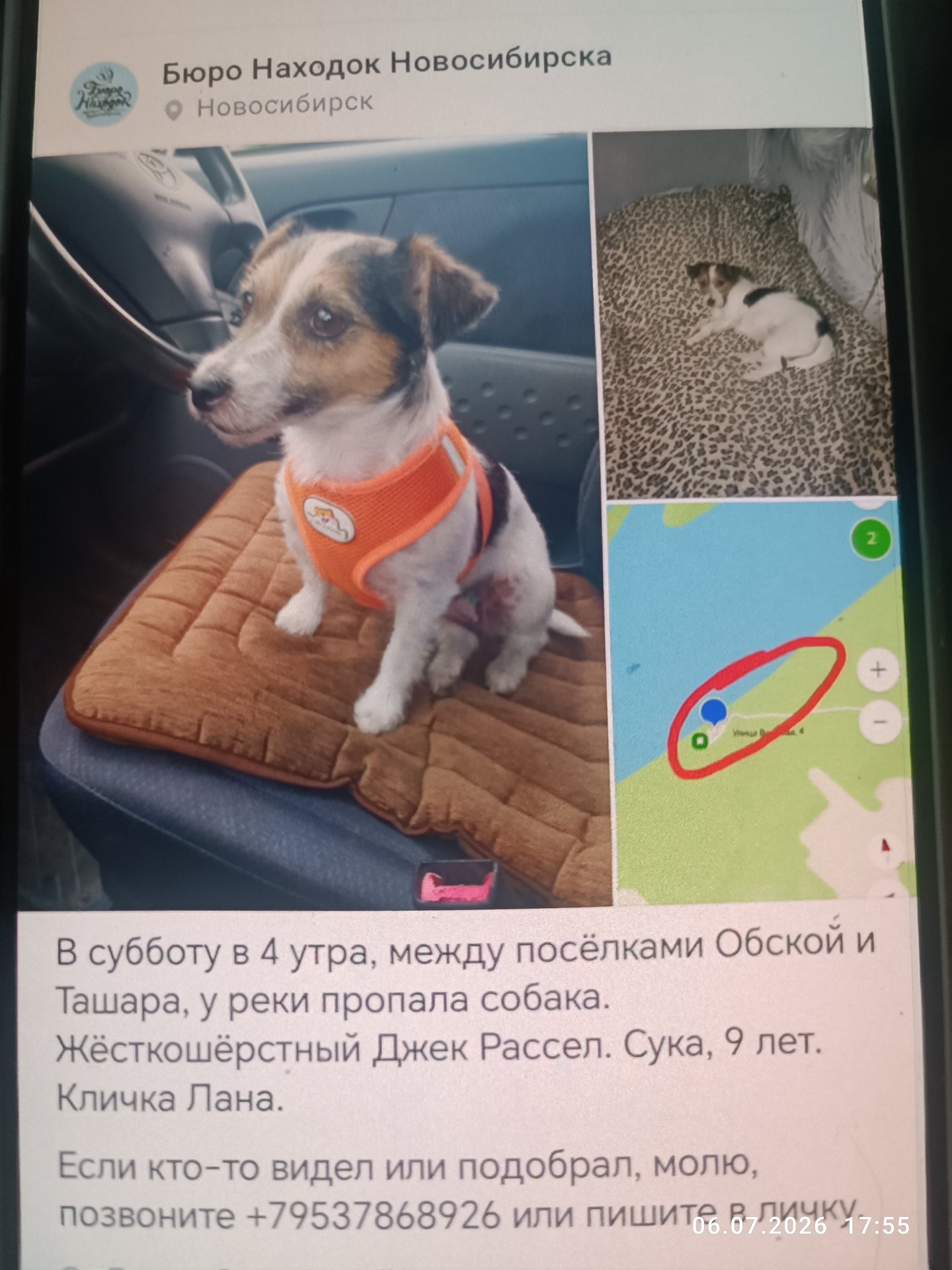 Фото Лана