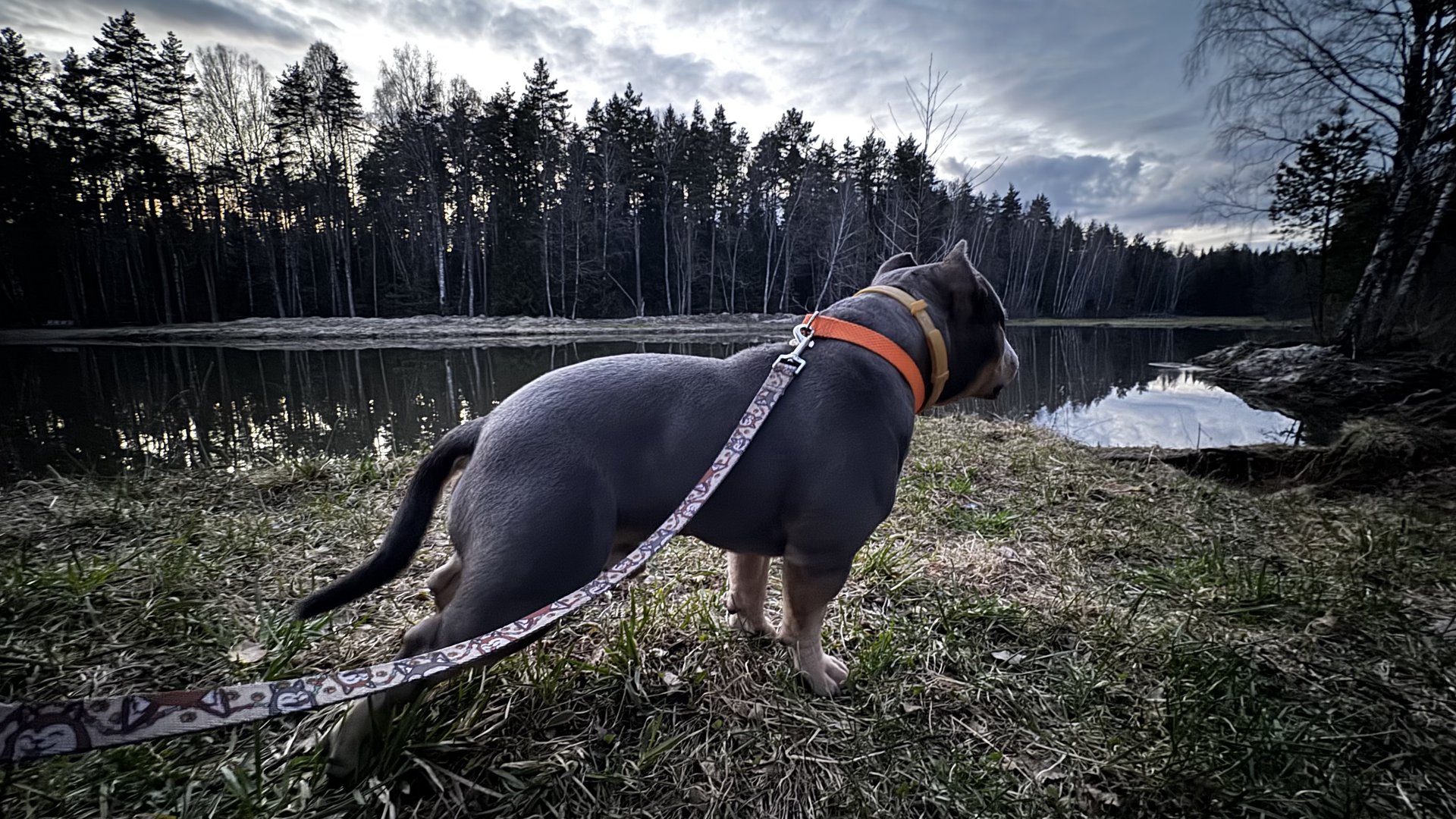 Фото Зевс
